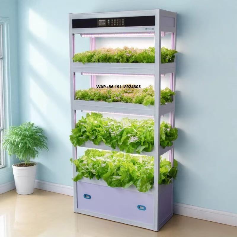 Hydroponic System - Sistema di Coltivazione Idroponica Intelligente per