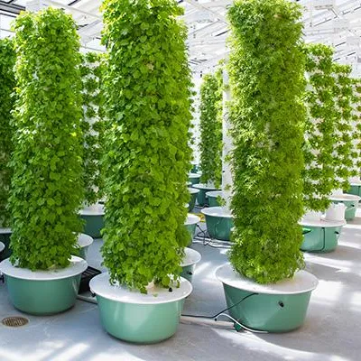 Hydroponic System - Sistemi di Coltivazione Aeroponica a Torre