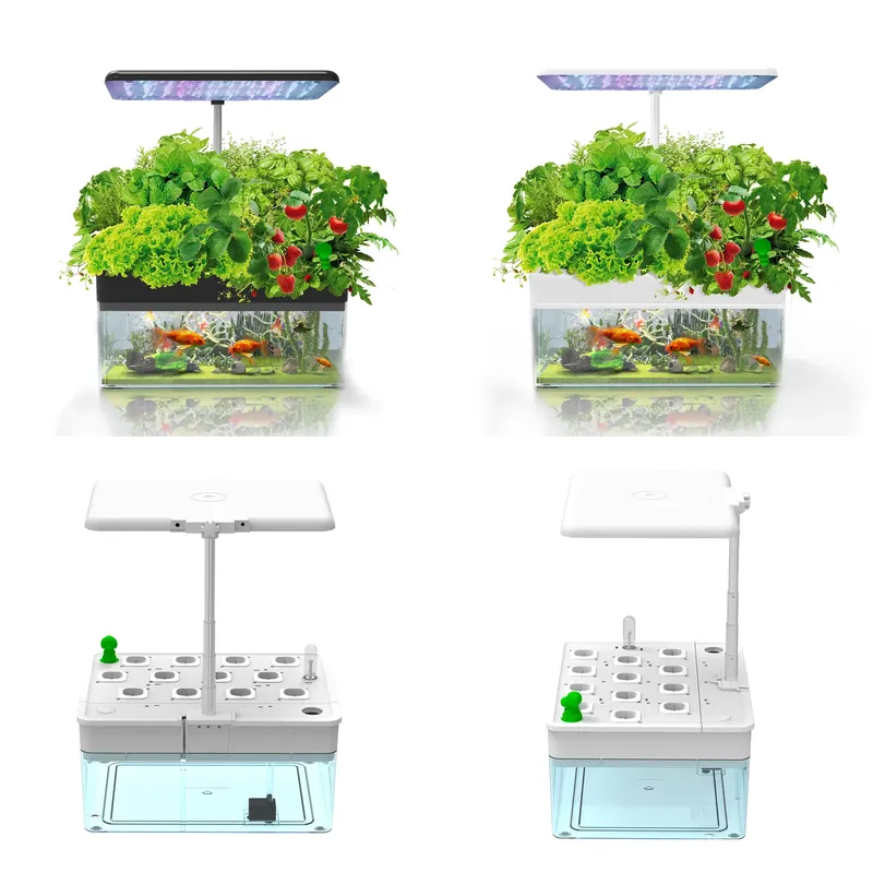 Hydroponic System - Sistema IGS-70 per Coltivazione Idroponica Indoor
