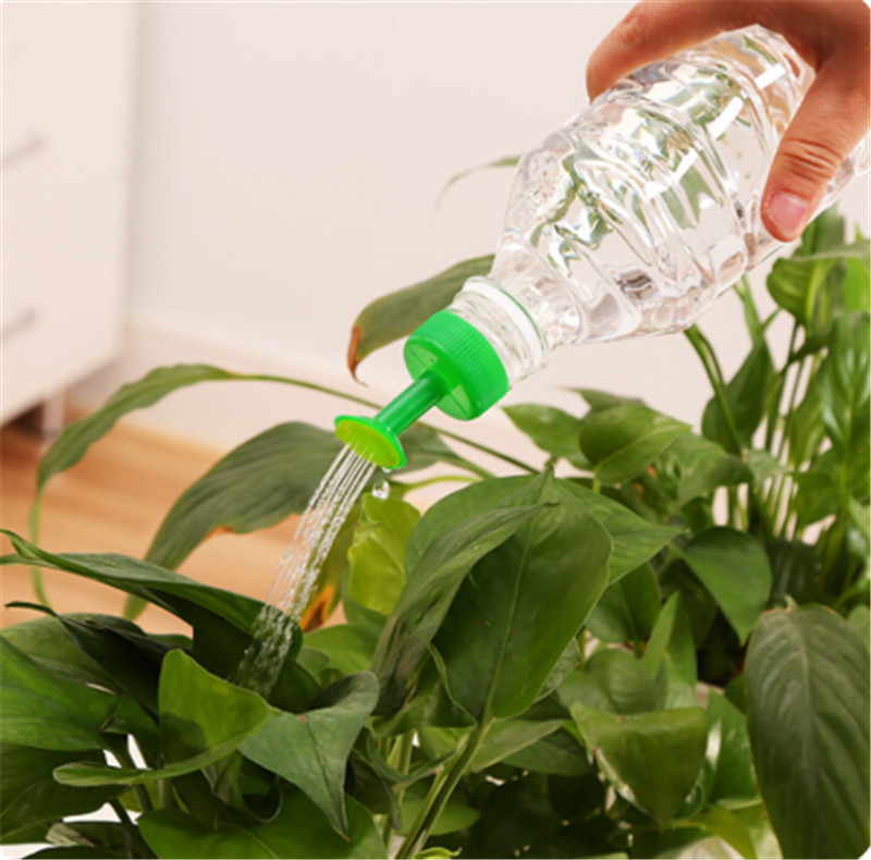Gardening Tools For Sale - Lattine d'acqua per piante in plastica