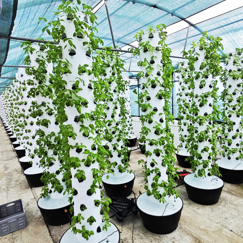Hydroponic System - Sistema di Coltivazione Idroponica Verticale di