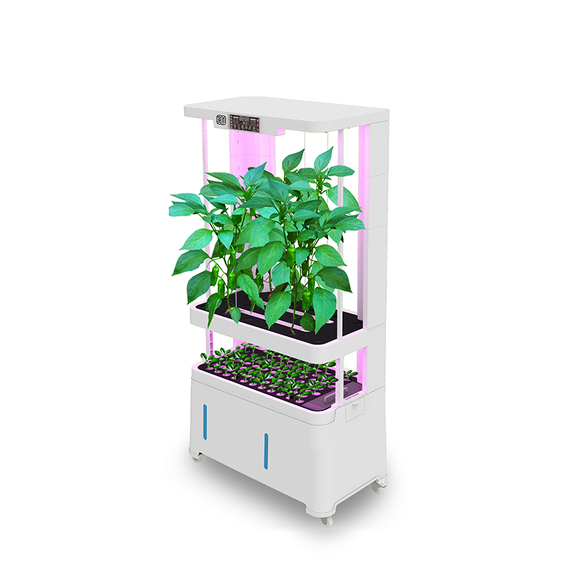 Hydroponic System - Attrezzatura Idroponica Intelligente High-Tech, Sistema di