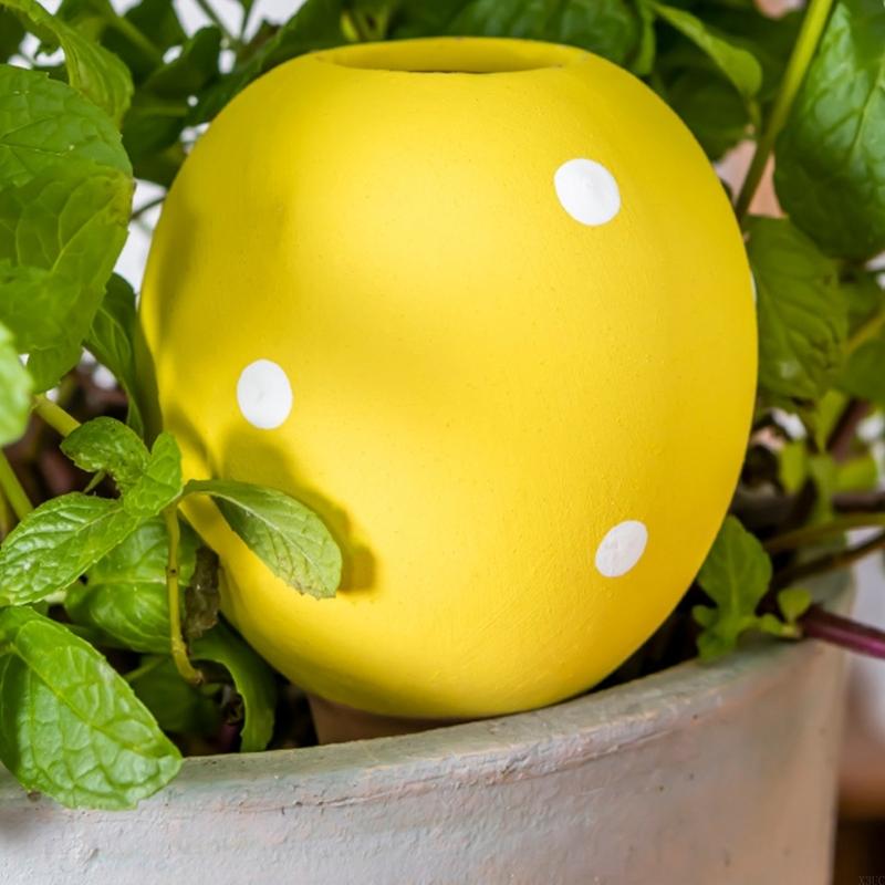 Gardening Tools Description - Vasi per irrigazione in ceramica Vasi