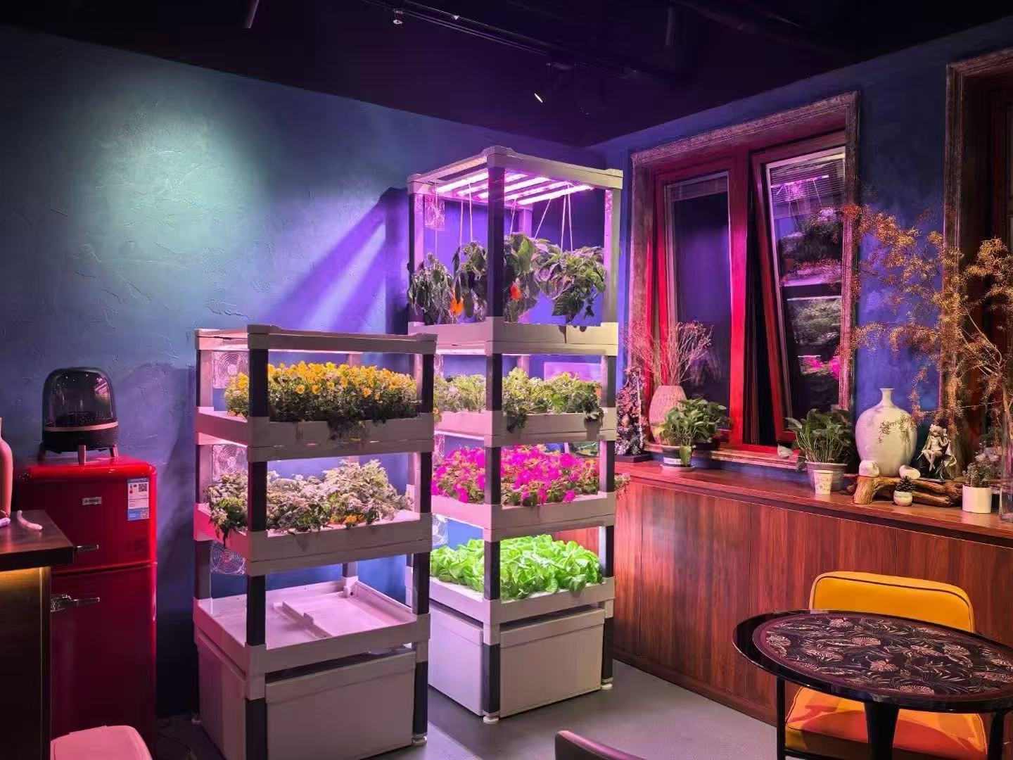 Nuovo Sistema di Coltivazione  - Hydroponic System recensione e prezzo