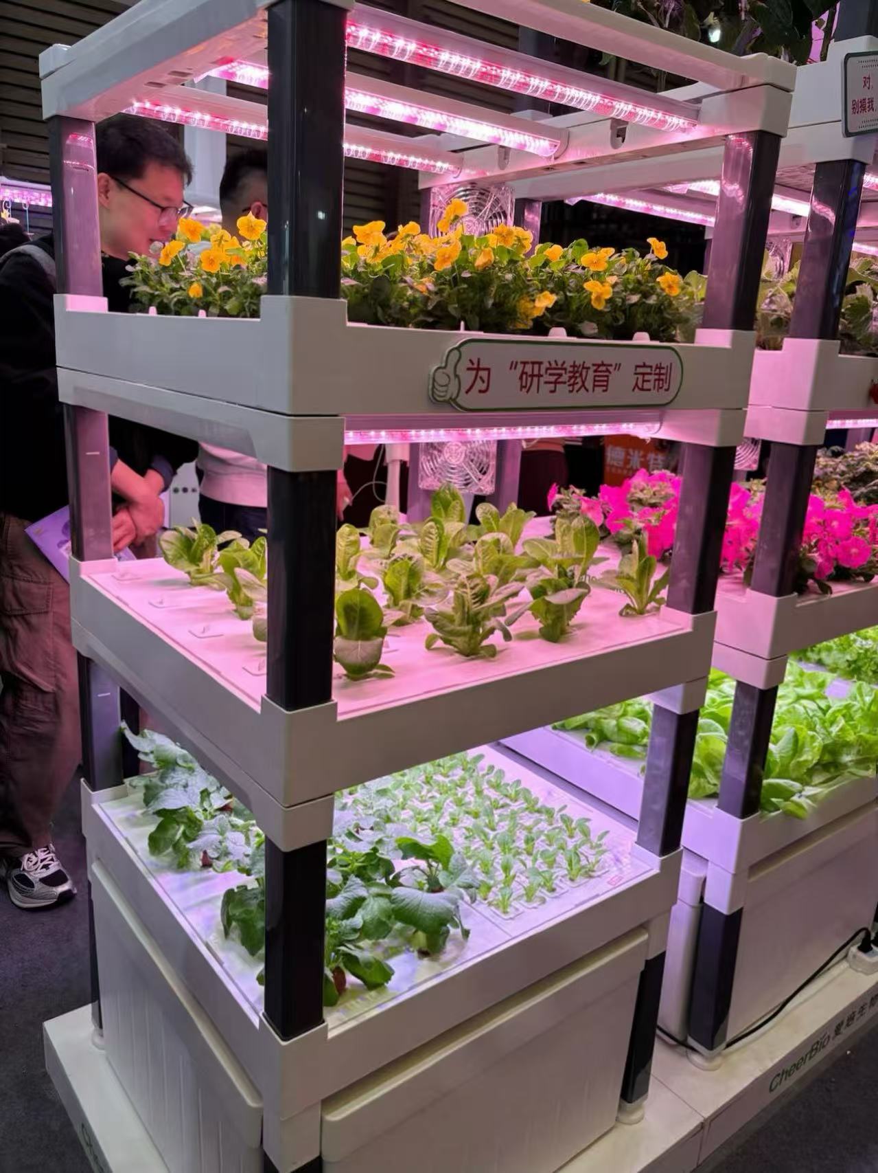 Nuovo Sistema di Coltivazione  - Hydroponic System recensione e prezzo