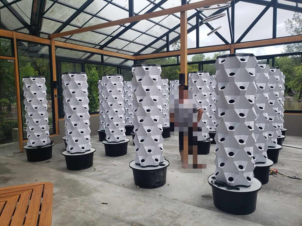 Sistema Idroponico Verticale p - Hydroponic System recensione e prezzo