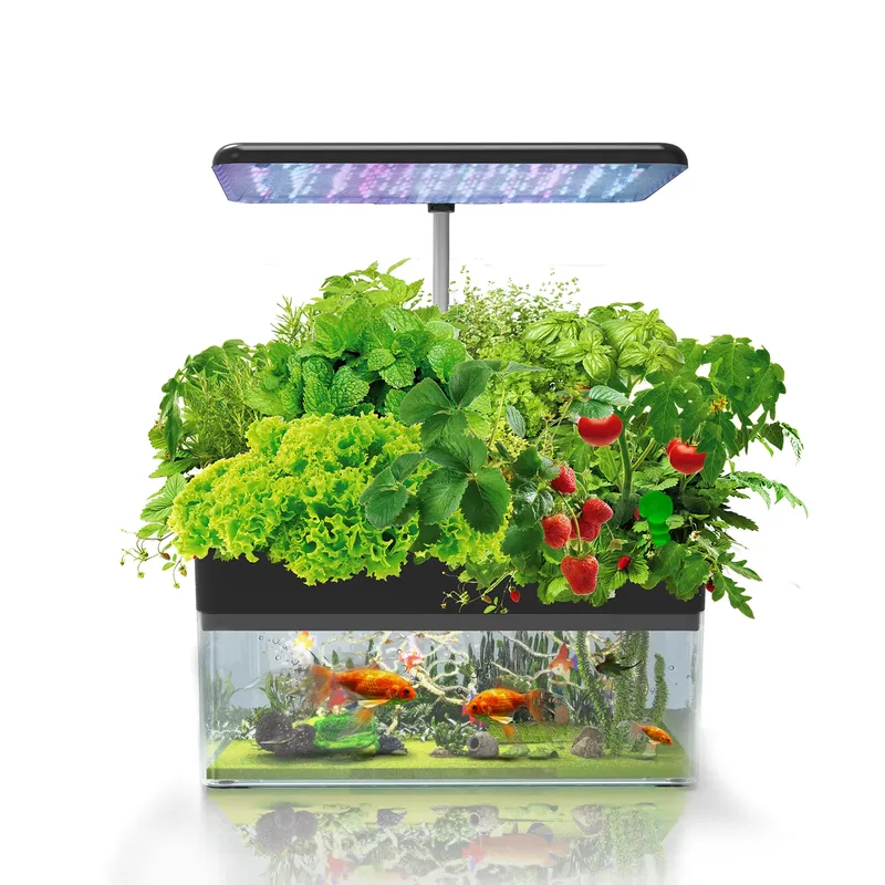 Sistema IGS-70 per Coltivazion - Hydroponic System recensione e prezzo