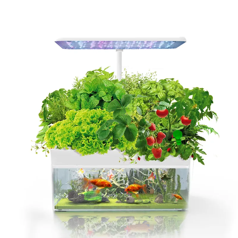 Sistema IGS-70 per Coltivazion - Hydroponic System recensione e prezzo