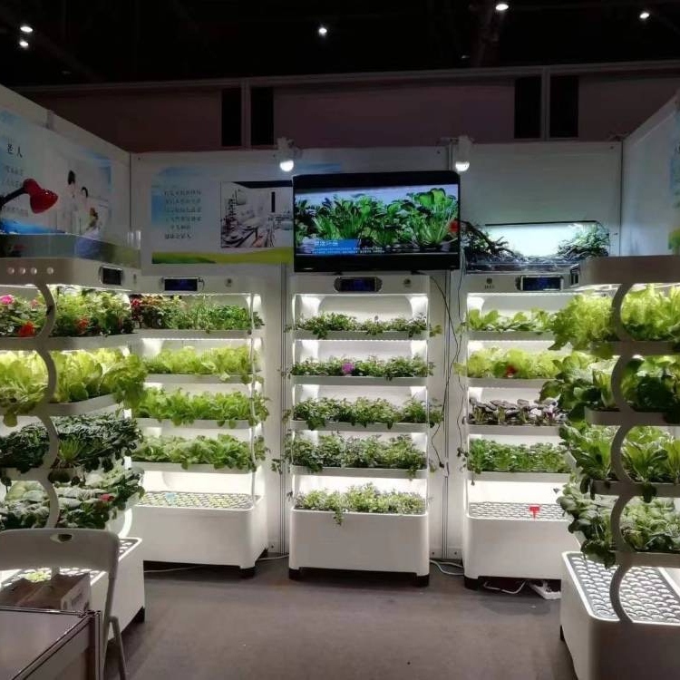 Sistema di Coltivazione Idropo - Hydroponic System recensione e prezzo
