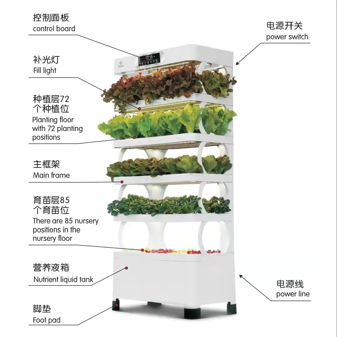 Sistema di Coltivazione Idropo - Hydroponic System recensione e prezzo