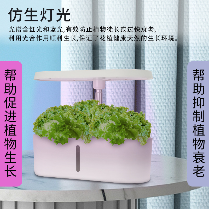 Sistema di Coltivazione Idropo - Hydroponic System recensione e prezzo