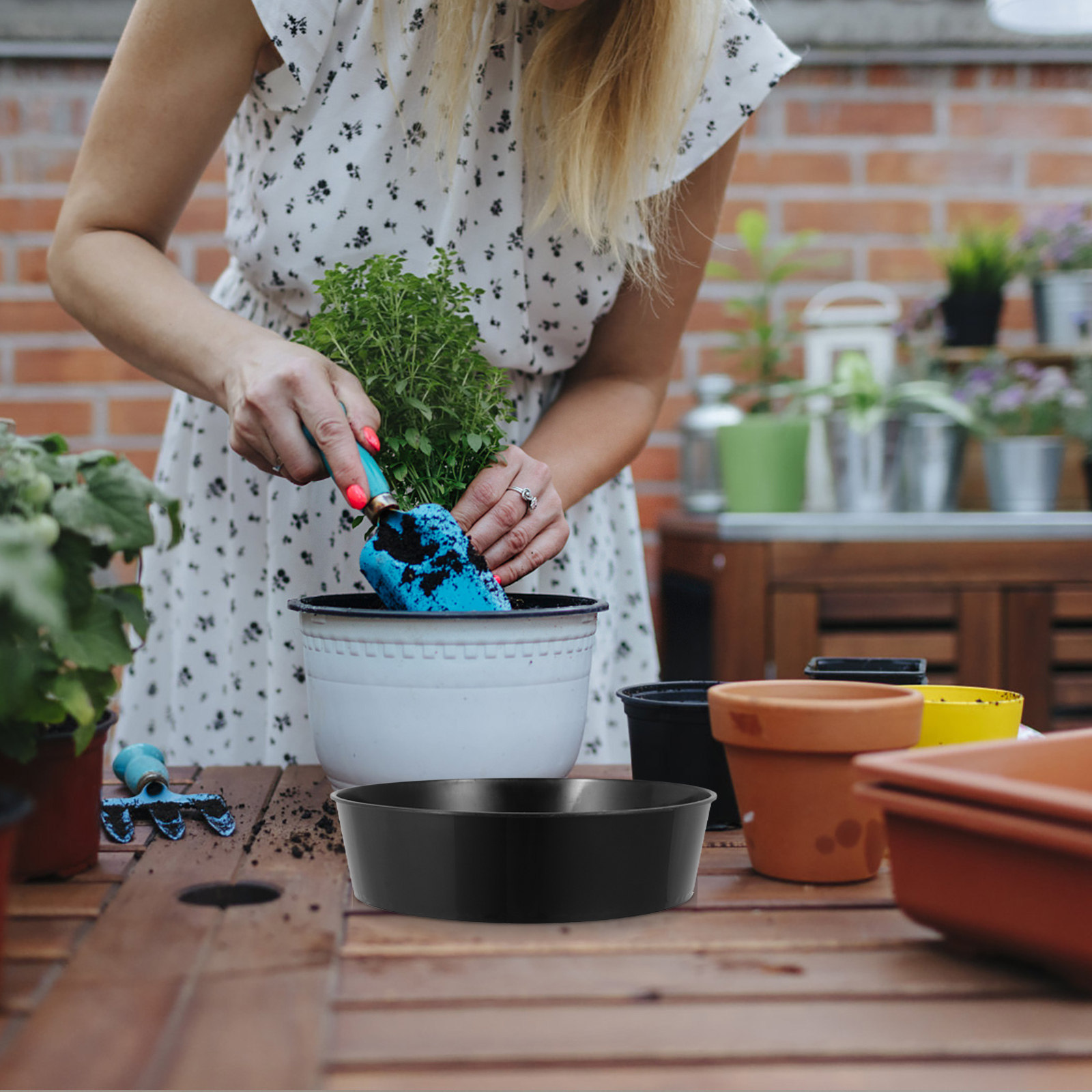 Setaccio Rotondo in Plastica p - Garden Sieve Soil recensione e prezzo