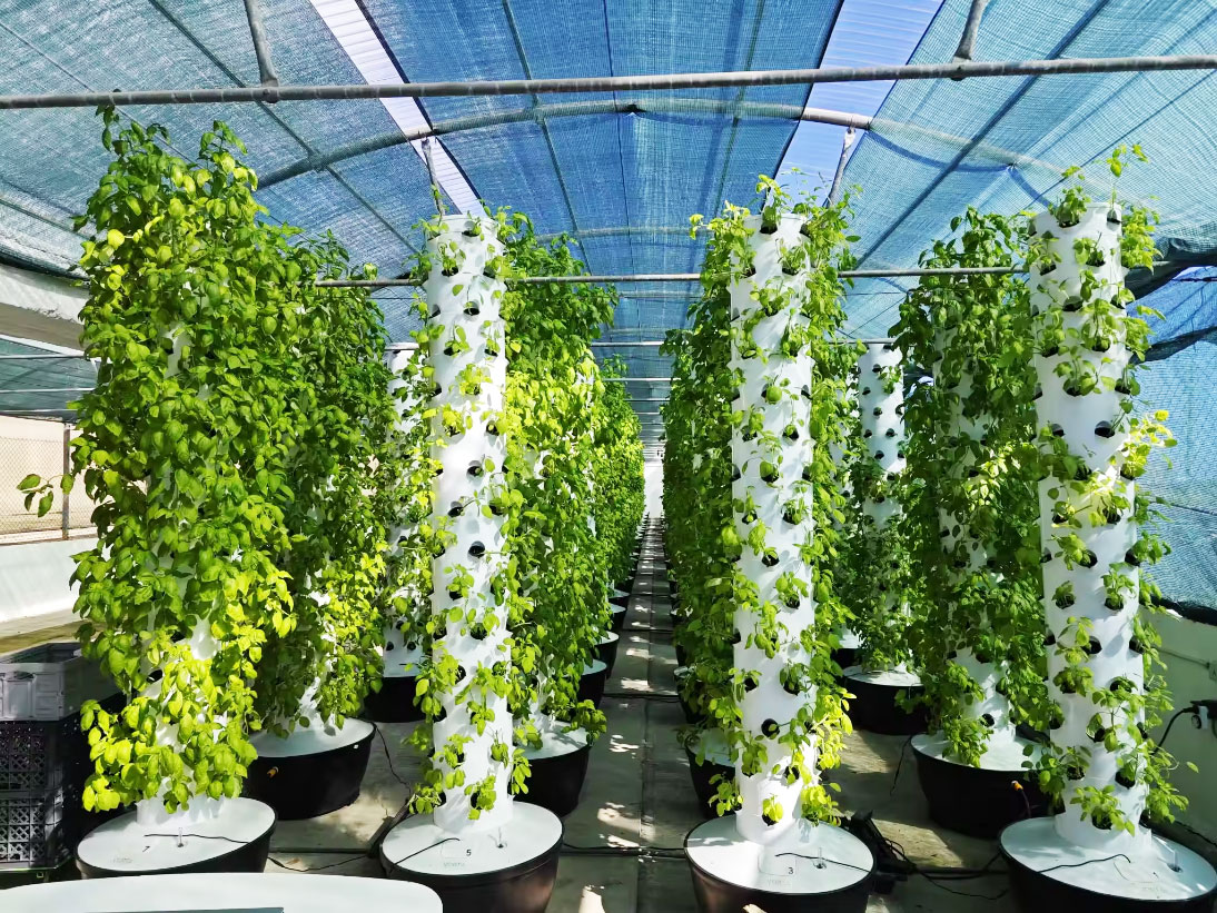 Sistema di Coltivazione Idropo - Hydroponic System recensione e prezzo
