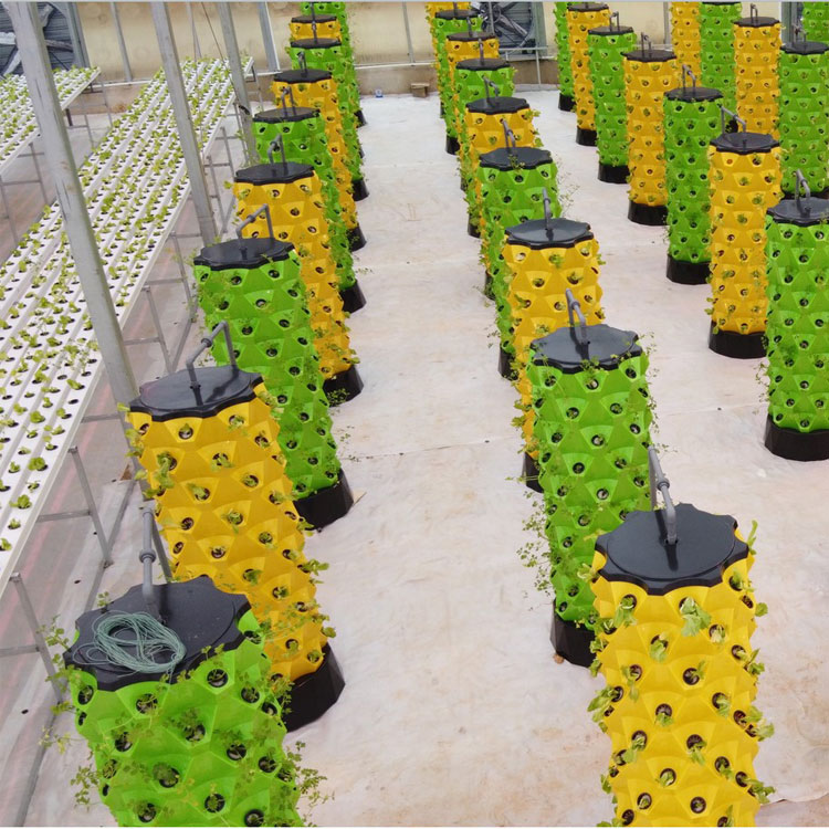 Sistema di Coltivazione Idropo - Hydroponic System recensione e prezzo