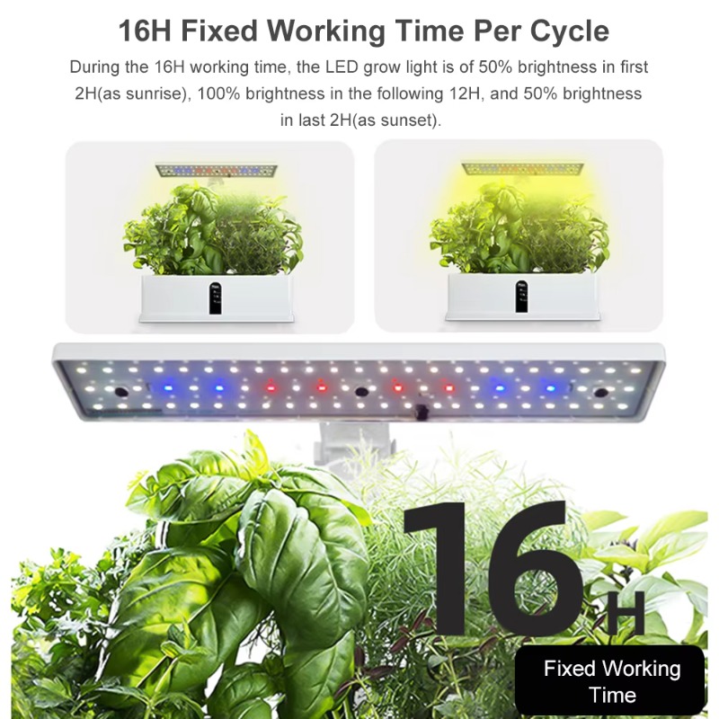 Sistema di Coltivazione Idropo - Hydroponic System recensione e prezzo