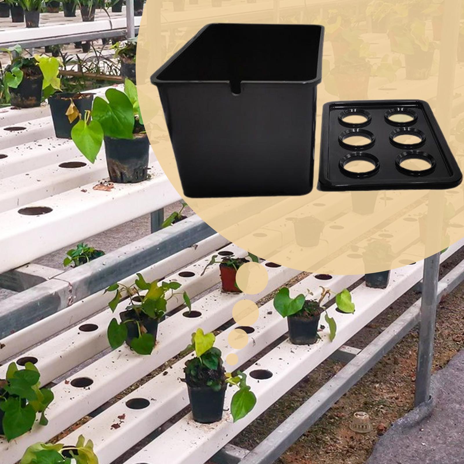 Kit per piantare idroponico At - Hydroponic System recensione e prezzo