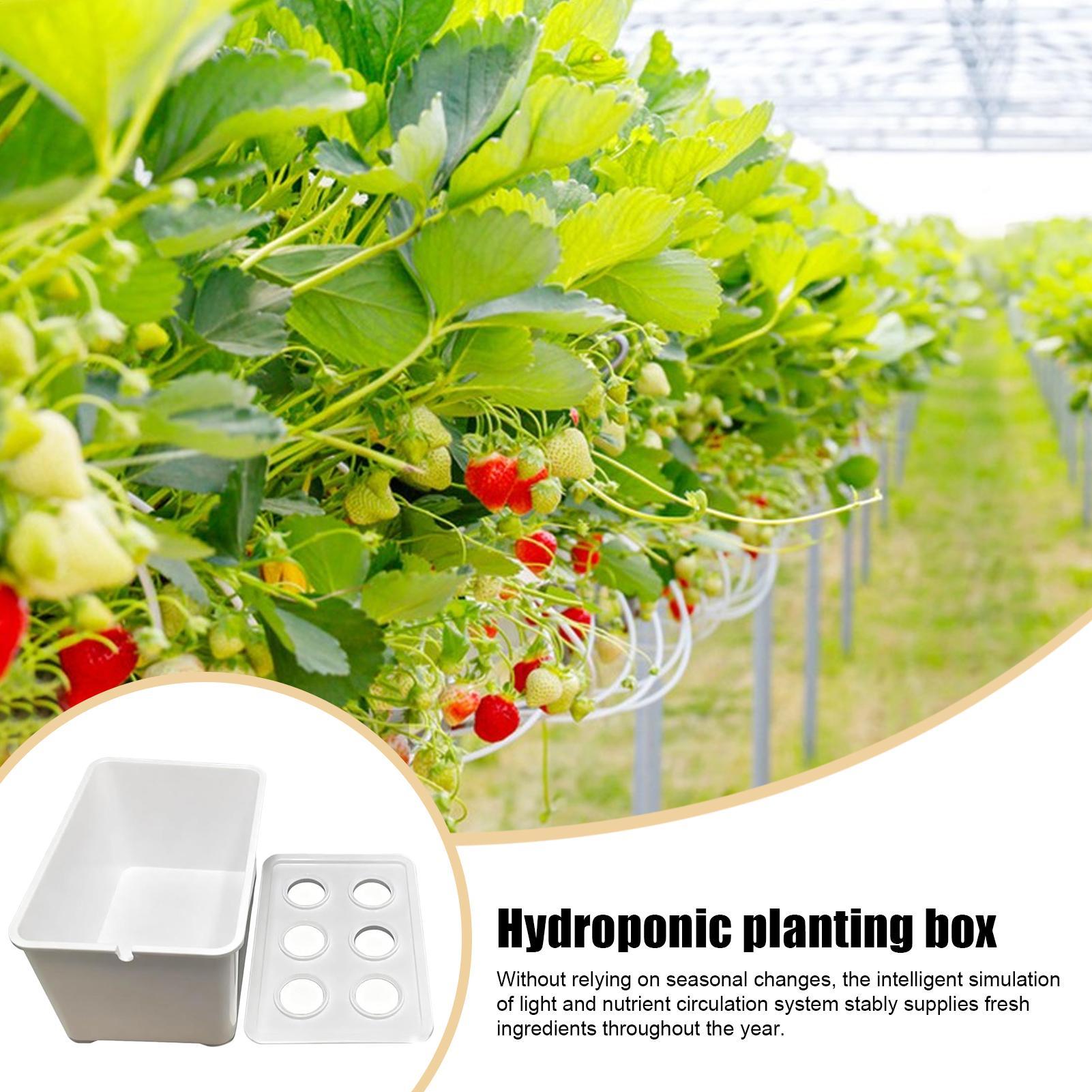 Kit per piantare idroponico At - Hydroponic System recensione e prezzo