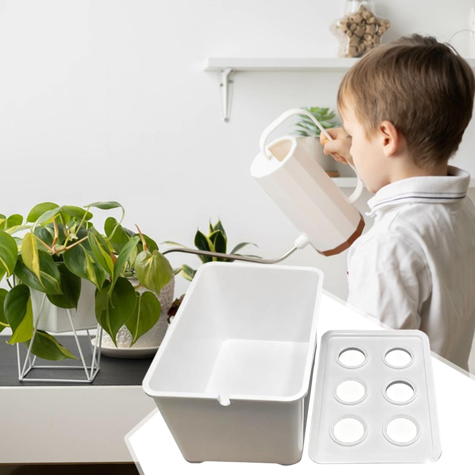 Kit per piantare idroponico At - Hydroponic System recensione e prezzo
