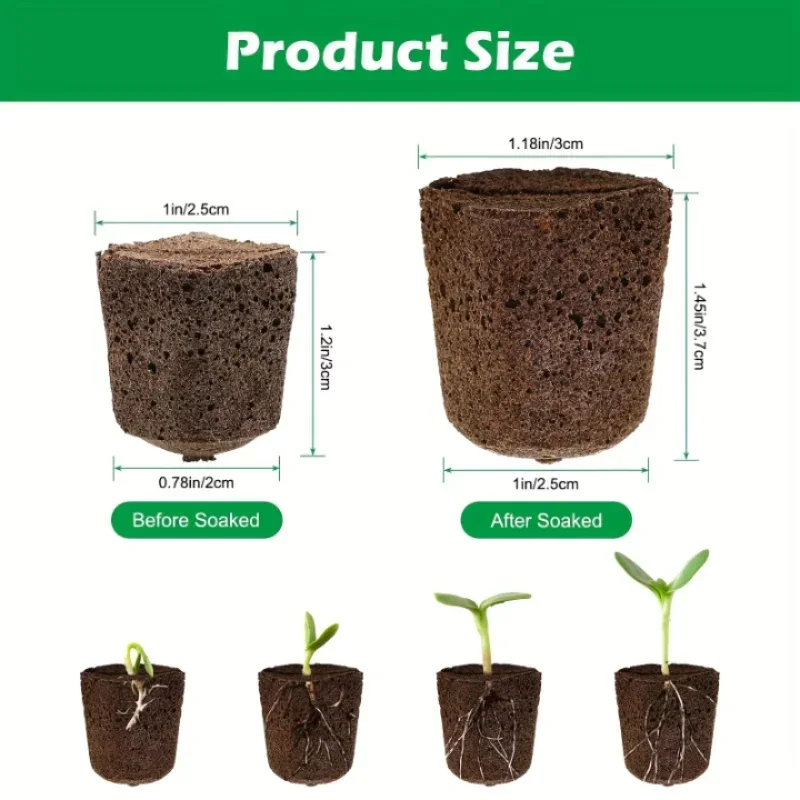 Kit di Spugne per Germinazione - Hydroponic System recensione e prezzo