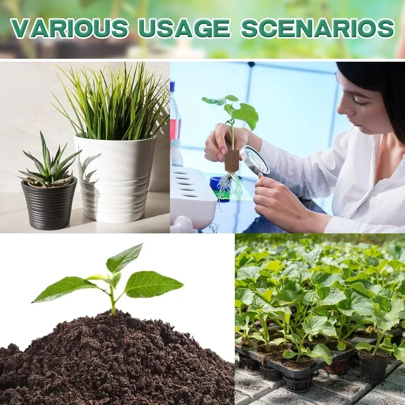 Kit di Spugne per Germinazione - Hydroponic System recensione e prezzo