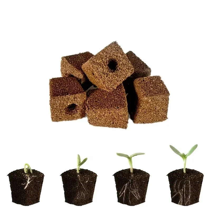Kit di Spugne per Germinazione - Hydroponic System recensione e prezzo