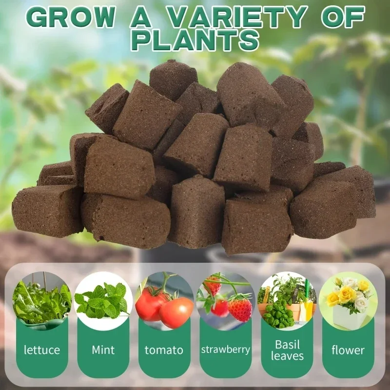 Kit di Spugne per Germinazione - Hydroponic System recensione e prezzo