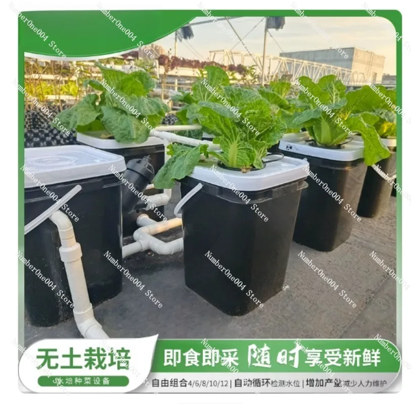Kit Idroponico RDWC per Balcon - Hydroponic System recensione e prezzo