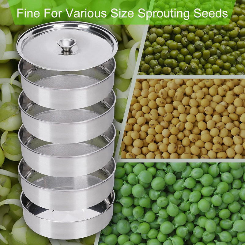 Kit per la germinazione delle  - Hydroponic System recensione e prezzo