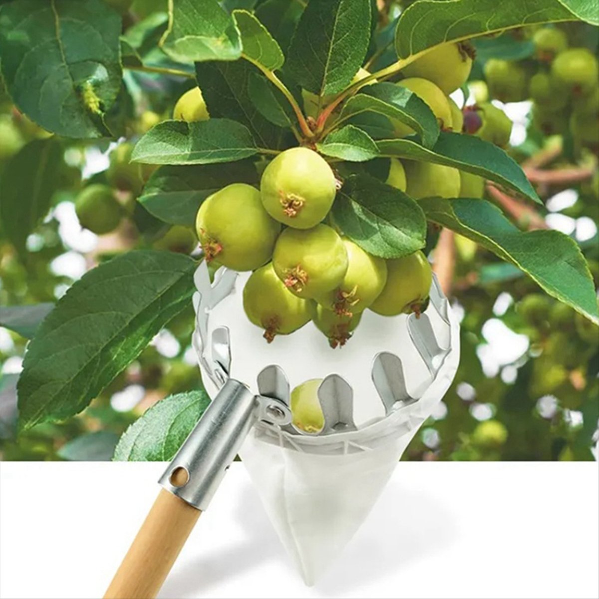 【Offerta di Liquidazione】Racco - Gardening Tools For Sale recensione e prezzo