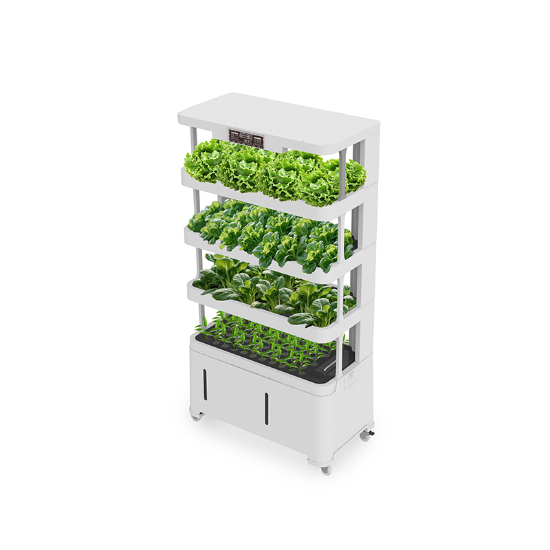 Attrezzatura Idroponica Intell - Hydroponic System recensione e prezzo