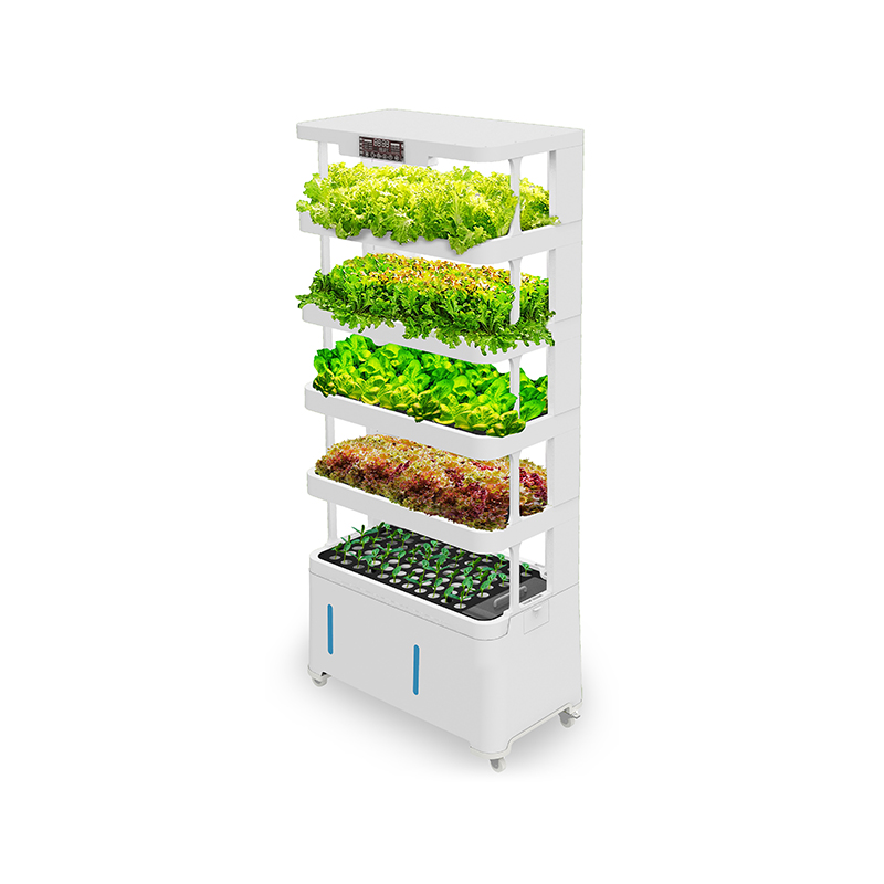 Attrezzatura Idroponica Intell - Hydroponic System recensione e prezzo