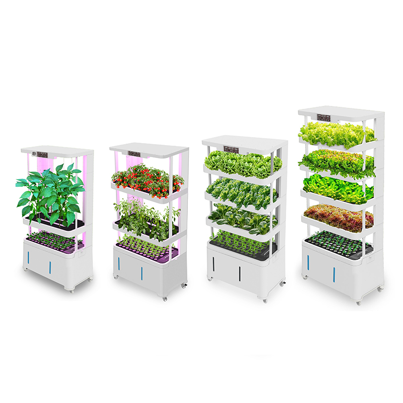 Attrezzatura Idroponica Intell - Hydroponic System recensione e prezzo