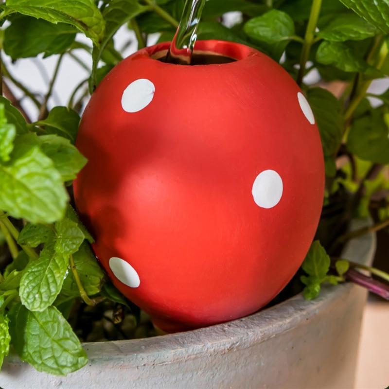 Vasi per irrigazione in cerami - Gardening Tools Description recensione e prezzo